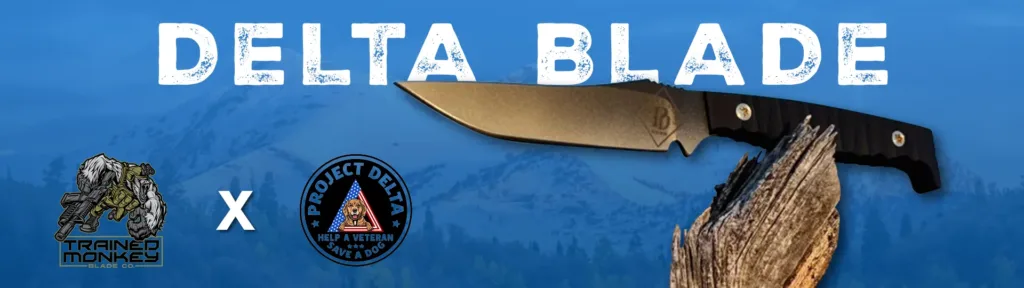 Project Delta Blade Banner